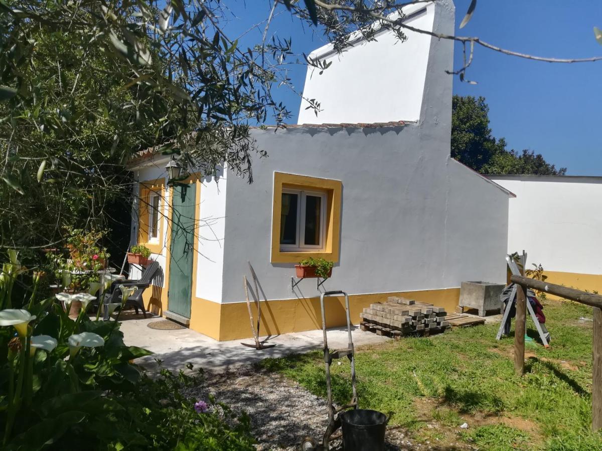 Quinta Do Cano Évora Kültér fotó
