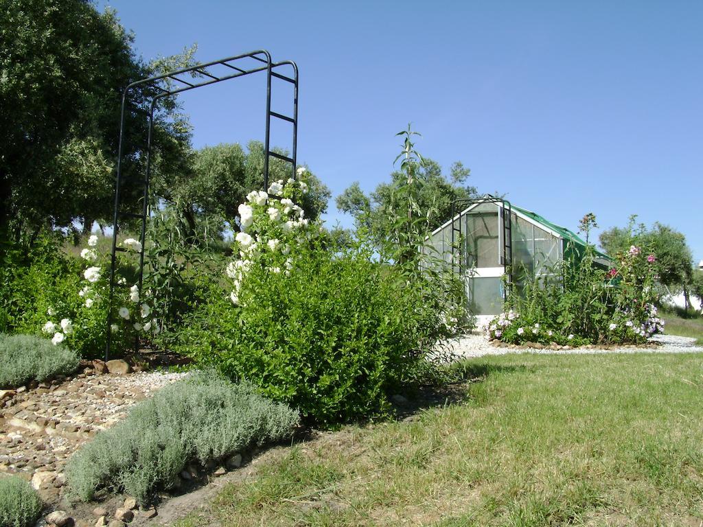 Quinta Do Cano Évora Kültér fotó
