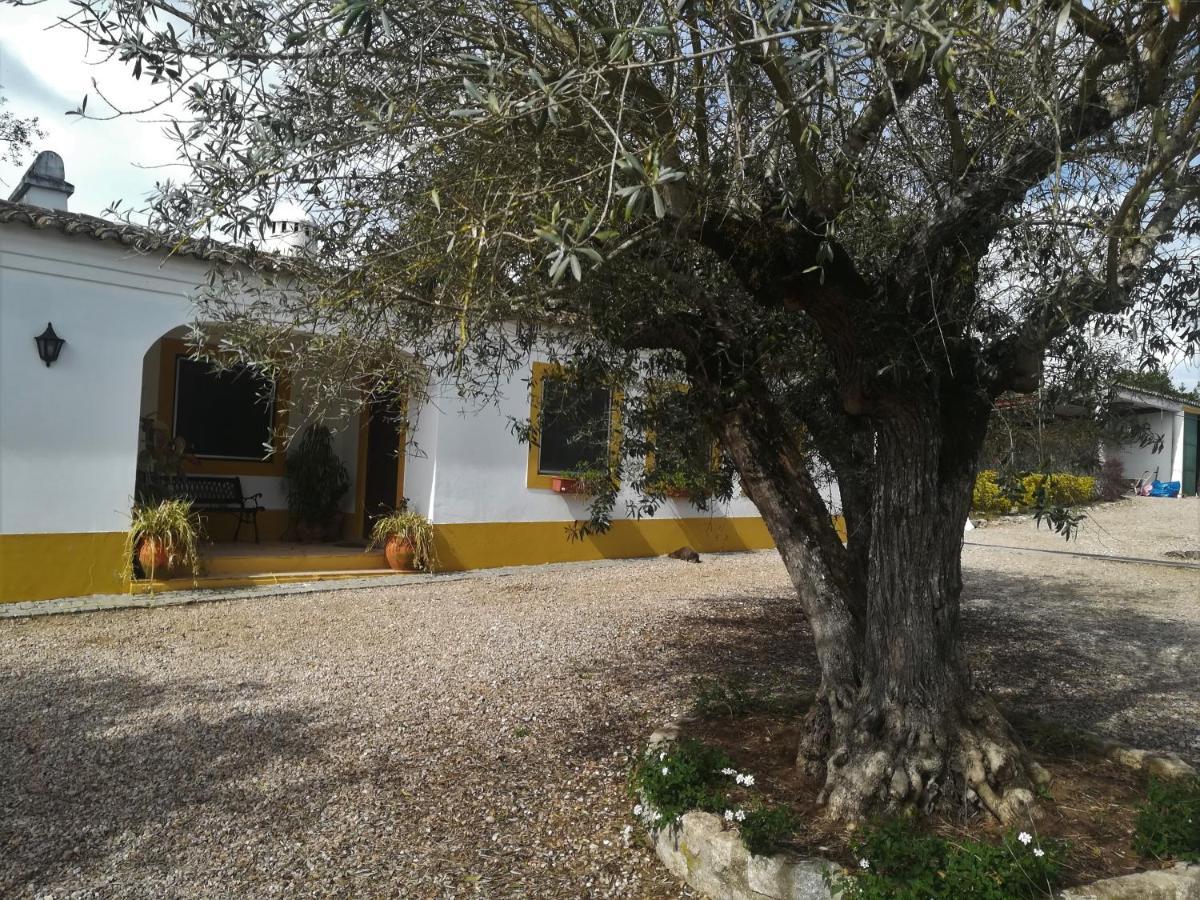 Quinta Do Cano Évora Kültér fotó